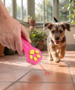Emax laserlampje voor huisdieren: spelen met de hond
