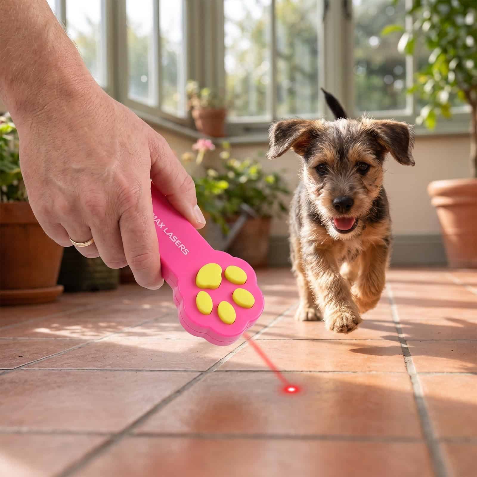 Emax laserlampje voor huisdieren: spelen met de hond