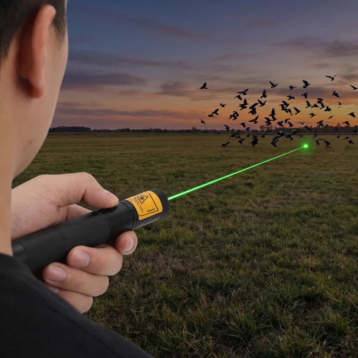 Professionele groene laserpen van Emax Lasers waarmee vogels van een akker worden verjaagd